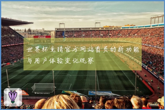 世界杯竞猜官方网站首页的新功能与用户体验变化观察