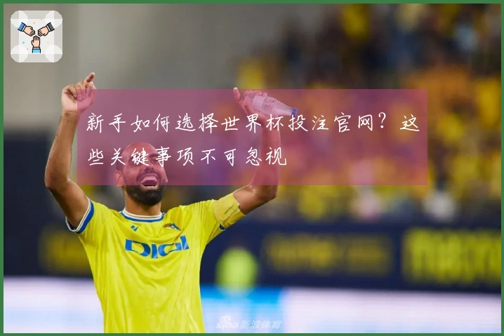 新手如何选择世界杯投注官网？这些关键事项不可忽视