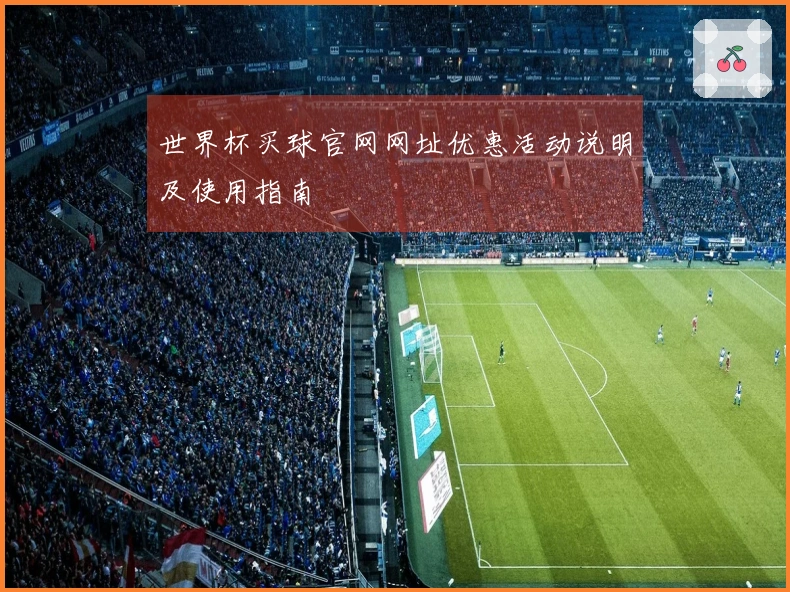 世界杯买球官网网址优惠活动说明及使用指南