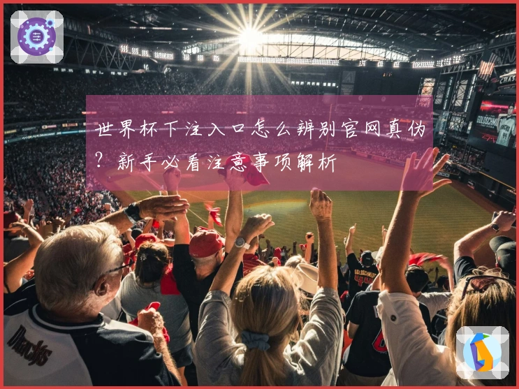 世界杯下注入口怎么辨别官网真伪?新手必看注意事项解析