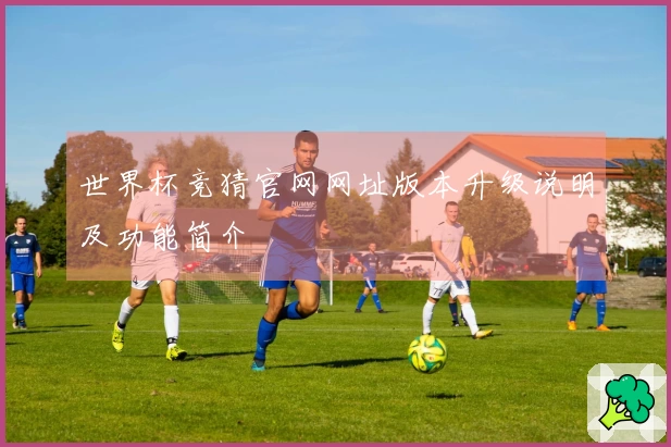 世界杯竞猜官网网址版本升级说明及功能简介