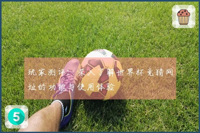 玩家测评:深入了解世界杯竞猜网址的功能与使用体验