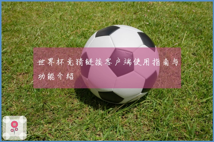 世界杯竞猜链接客户端使用指南与功能介绍
