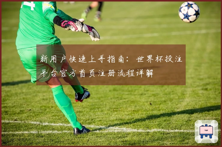 新用户快速上手指南:世界杯投注平台官方首页注册流程详解