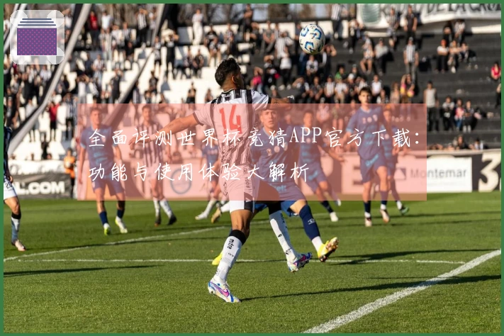 全面评测世界杯竞猜APP官方下载:功能与使用体验大解析