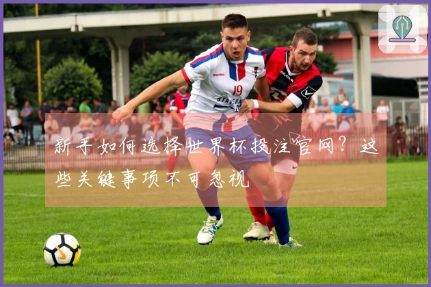 新手如何选择世界杯投注官网？这些关键事项不可忽视