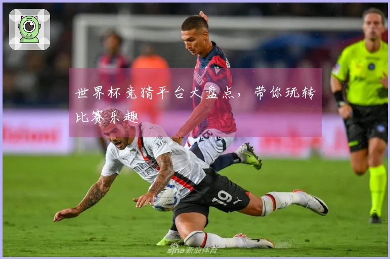 世界杯竞猜平台大盘点,带你玩转比赛乐趣