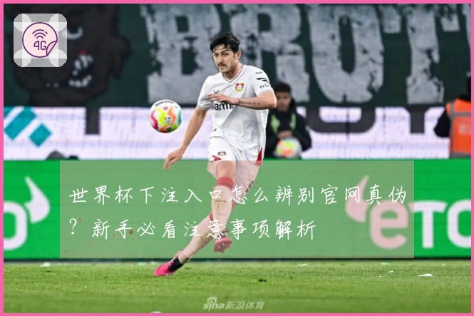 世界杯下注入口怎么辨别官网真伪？新手必看注意事项解析