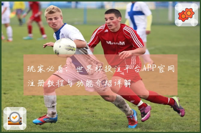 玩家必看:世界杯投注平台APP官网注册教程与功能介绍详解